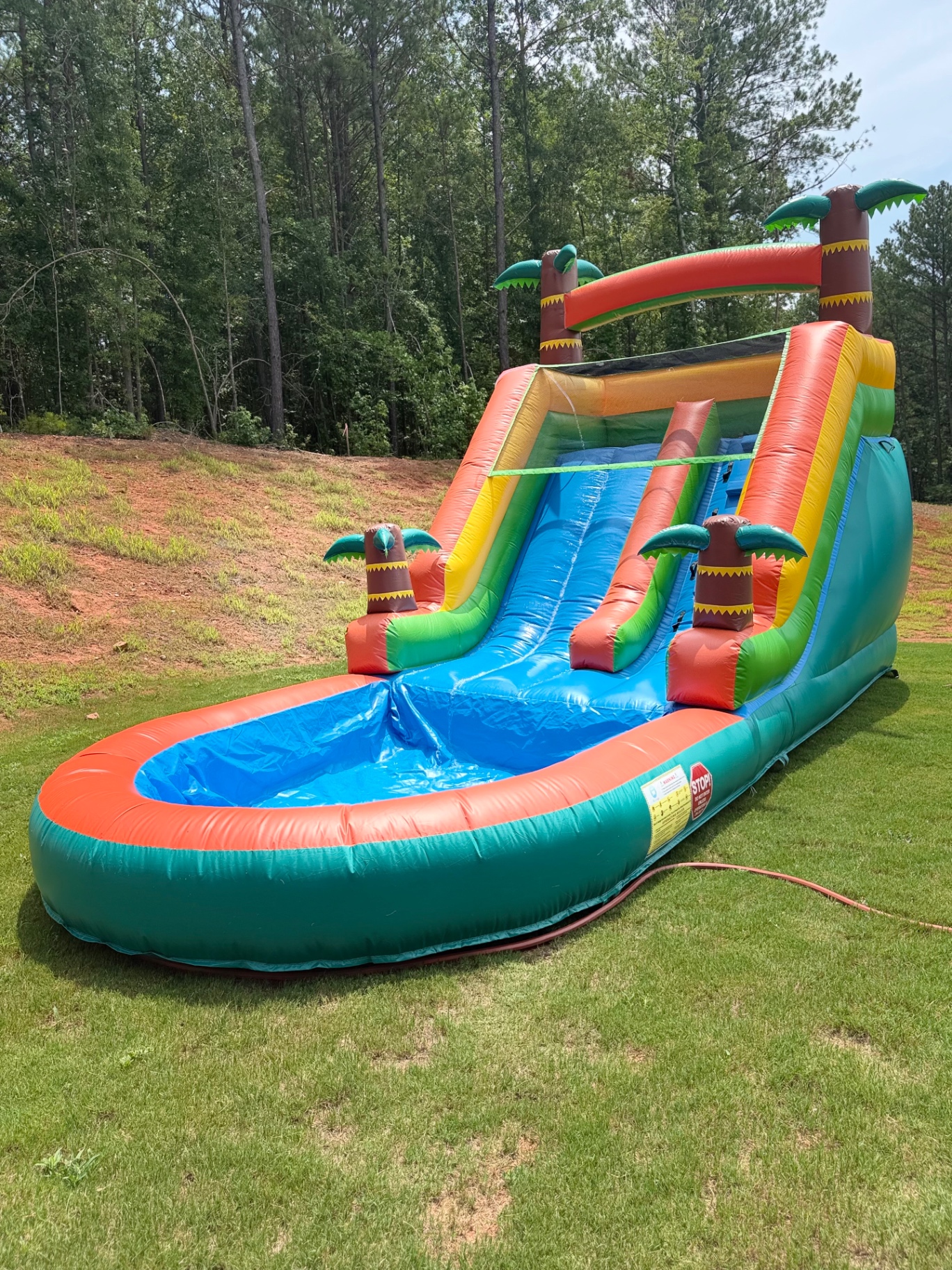 Large tropical water slide with palm trees and splash pool