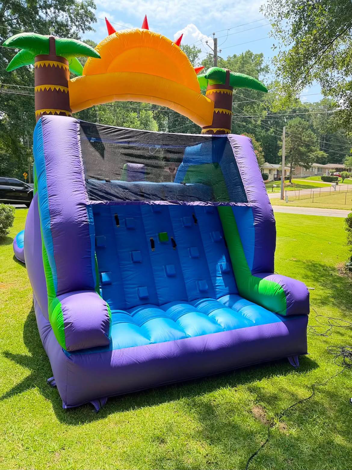 Tropical bounce house combo set up for a family celebration